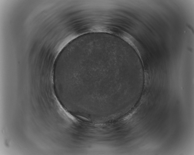 X0000101481141200807211353