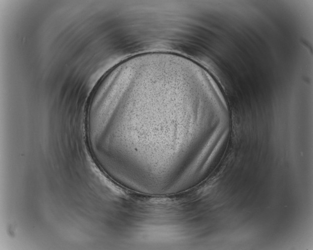 X0000101481142200807211353