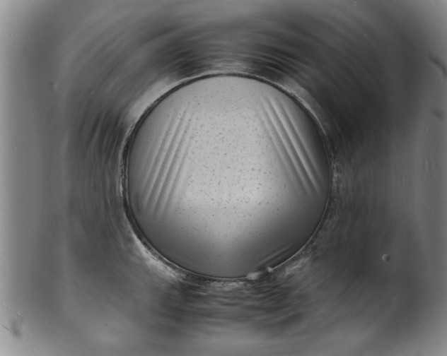 X0000101481143200807211353