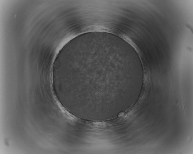 X0000101481144200807211353