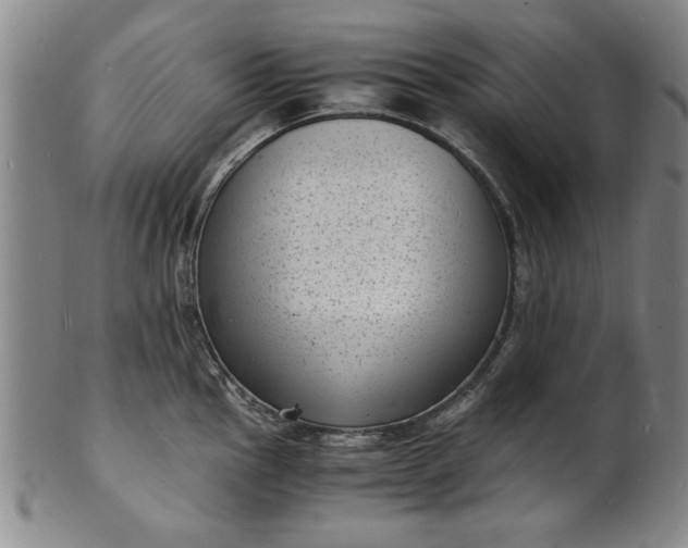 X0000101481145200807211353