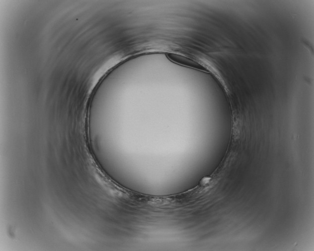 X0000101481146200807211353