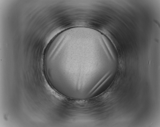 X0000101481147200807211353