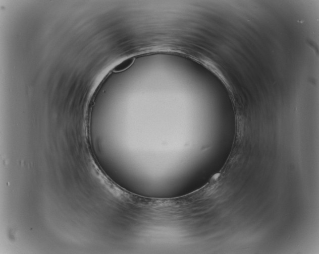 X0000101481148200807211353