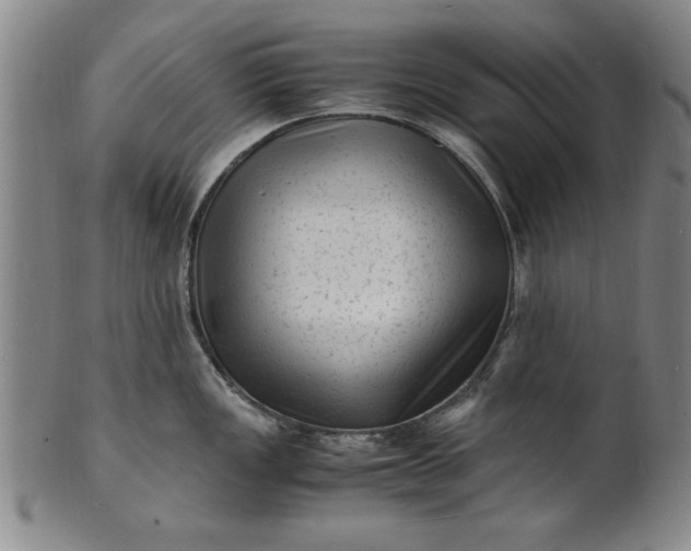 X0000101481149200807211353