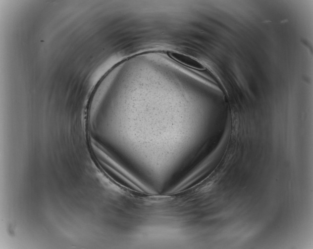 X0000101481151200807211353