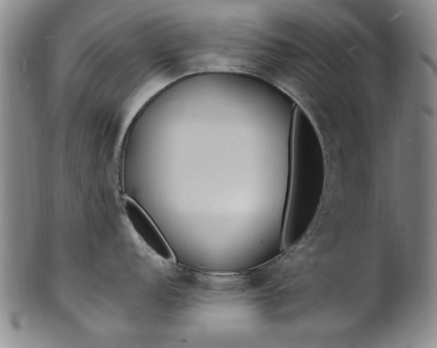 X0000101481152200807211353