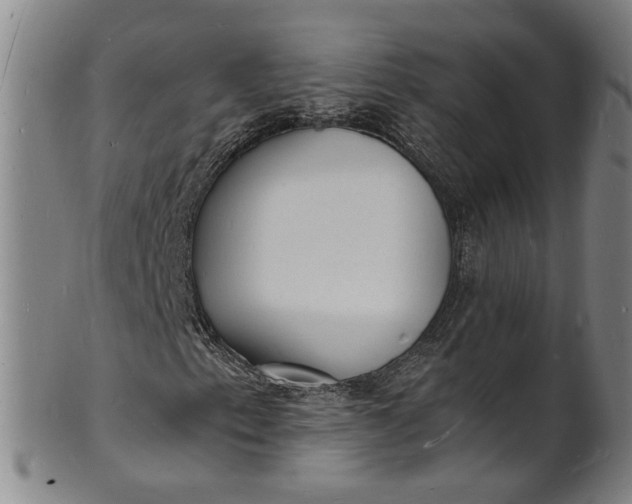 X0000101481153200807211352