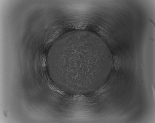 X0000101481154200807211352