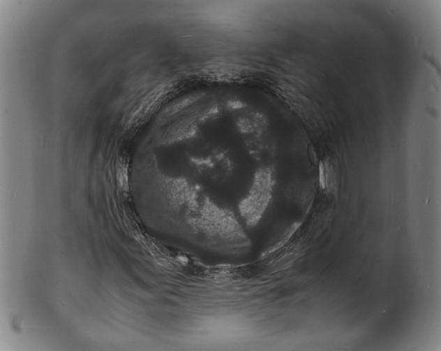 X0000101481155200807211352