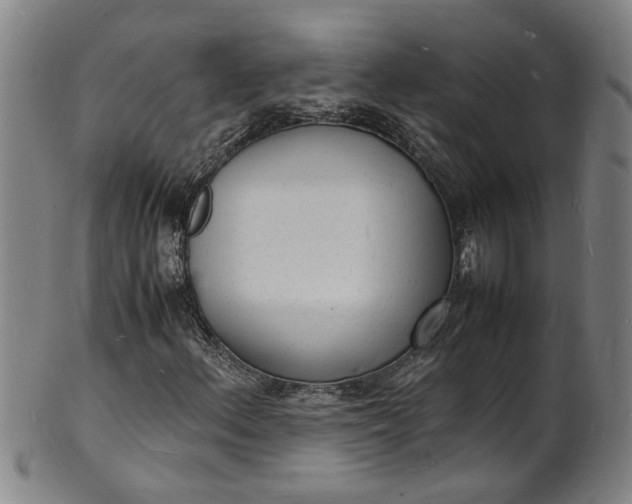 X0000101481156200807211352