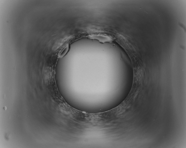 X0000101481157200807211352