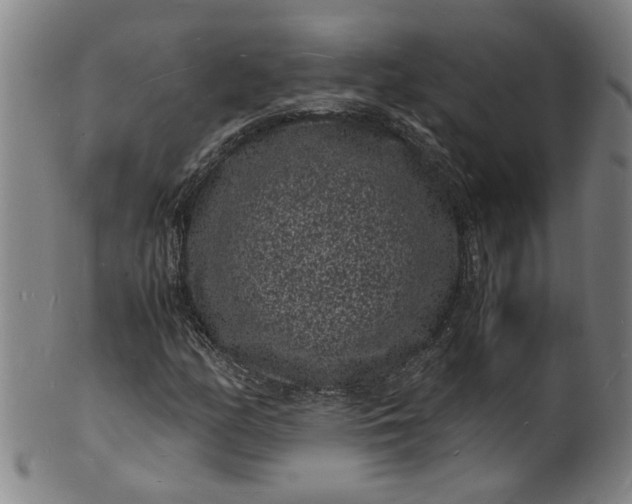 X0000101481158200807211352