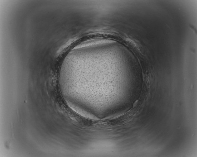 X0000101481159200807211352