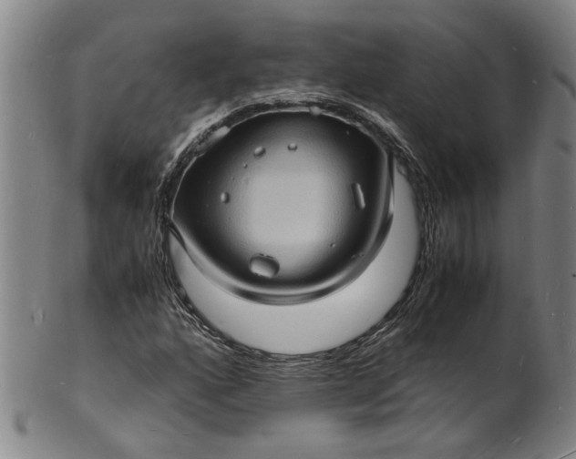 X0000101481160200807211352