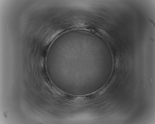 X0000101481161200807211352