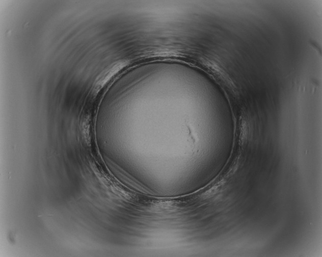 X0000101481162200807211352