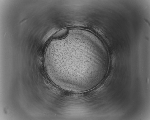 X0000101481163200807211352