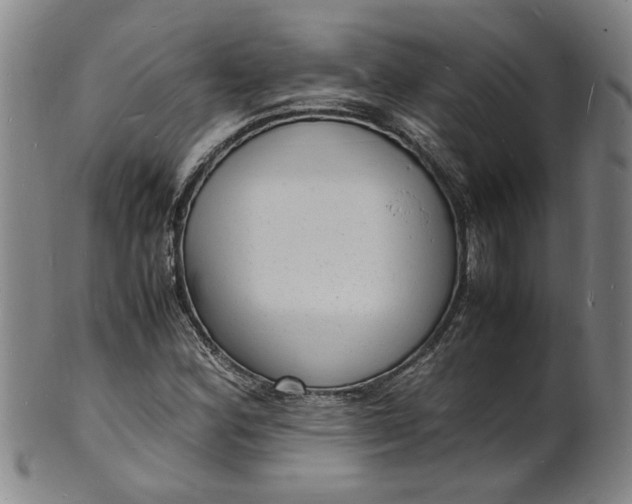 X0000101481164200807211352