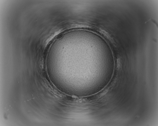 X0000101481165200807211352