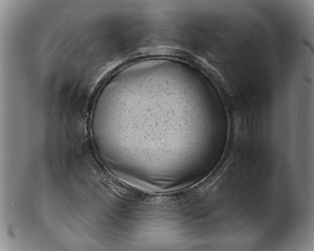 X0000101481166200807211352