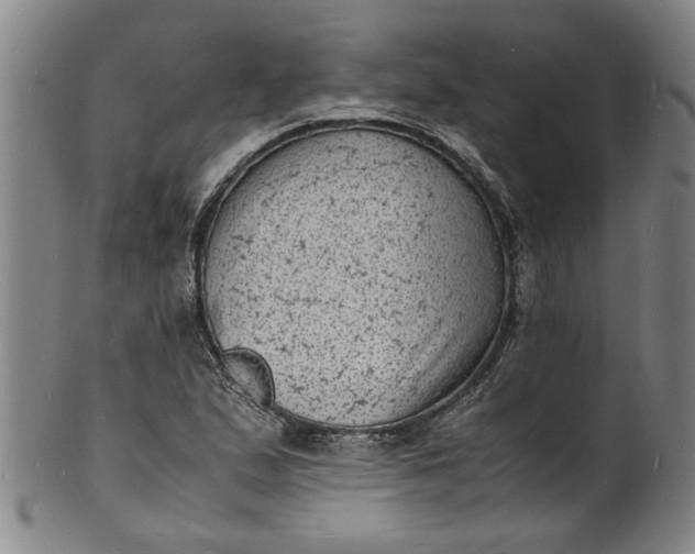 X0000101481167200807211352