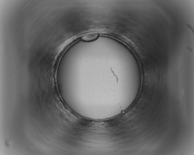 X0000101481168200807211352