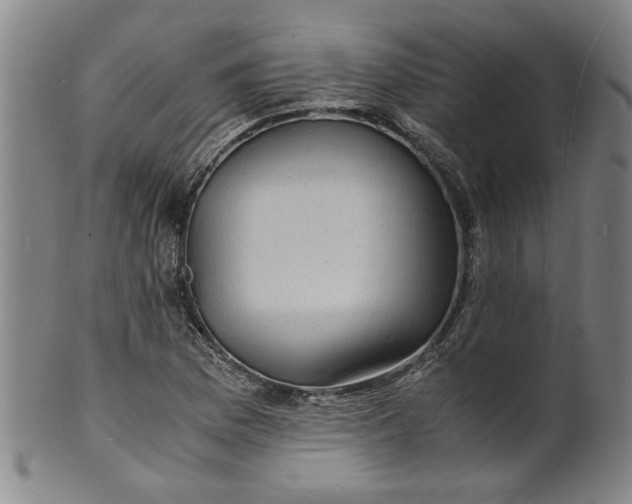 X0000101481169200807211352