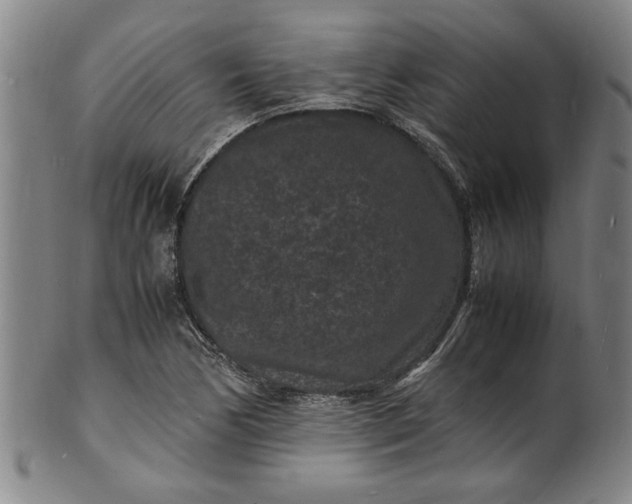 X0000101481170200807211352