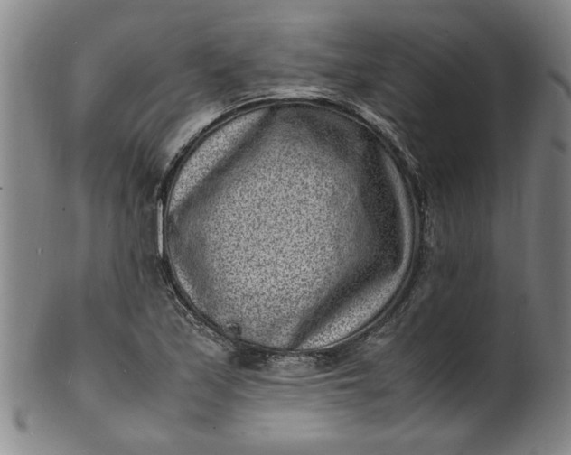 X0000101481171200807211352