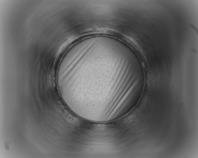 X0000101481172200807211352