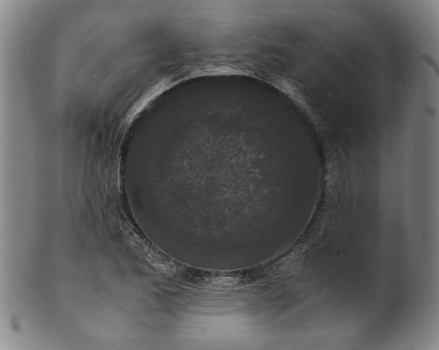 X0000101481173200807211352