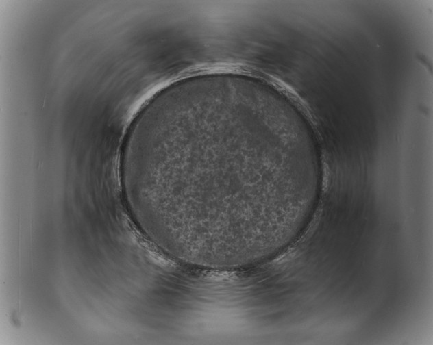 X0000101481174200807211352