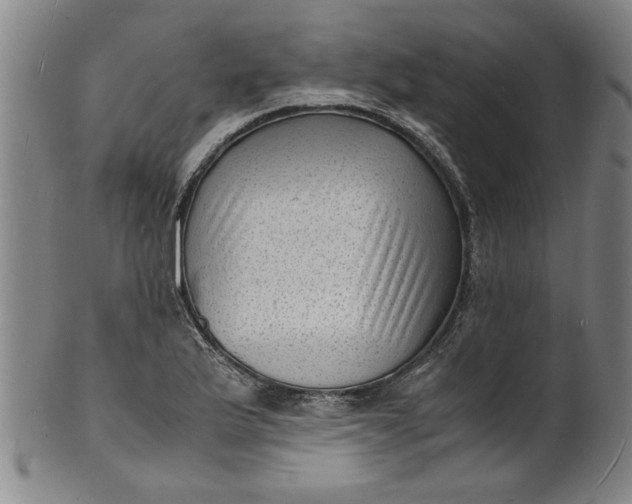 X0000101481175200807211352