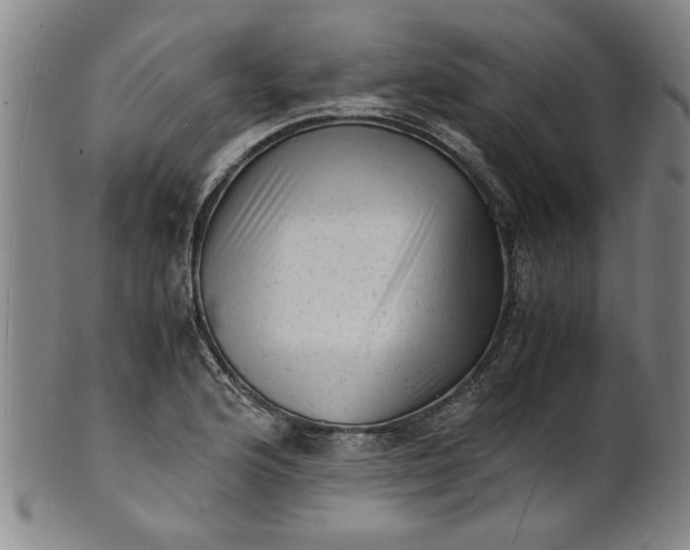 X0000101481176200807211352