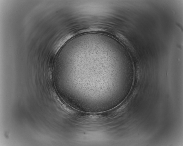 X0000101481177200807211352