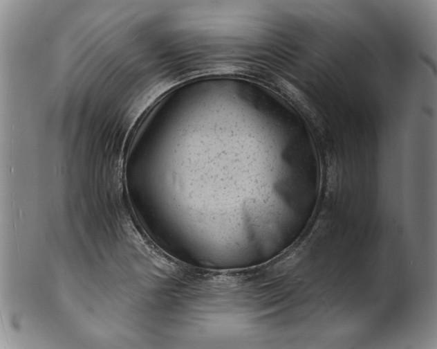 X0000101481178200807211352