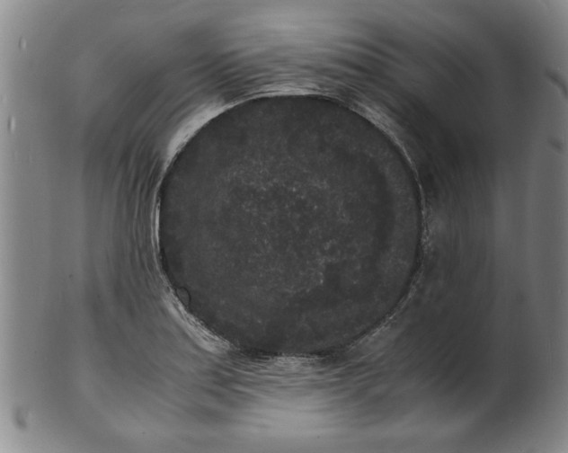 X0000101481179200807211352