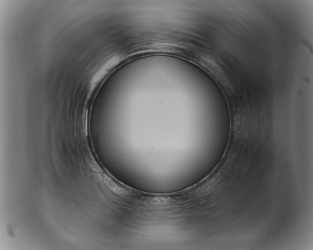 X0000101481180200807211352