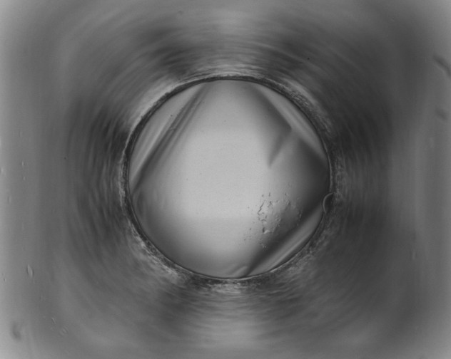 X0000101481182200807211352