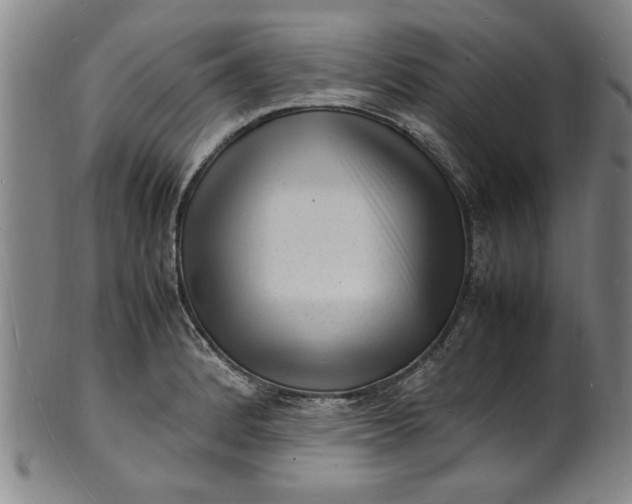 X0000101481184200807211352