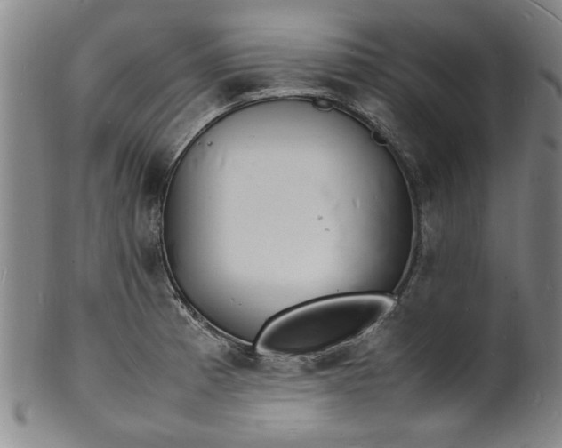 X0000101481185200807211352