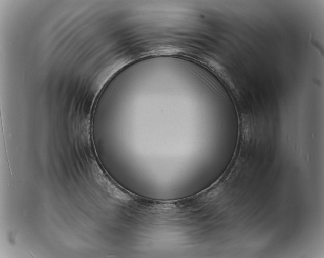 X0000101481186200807211352