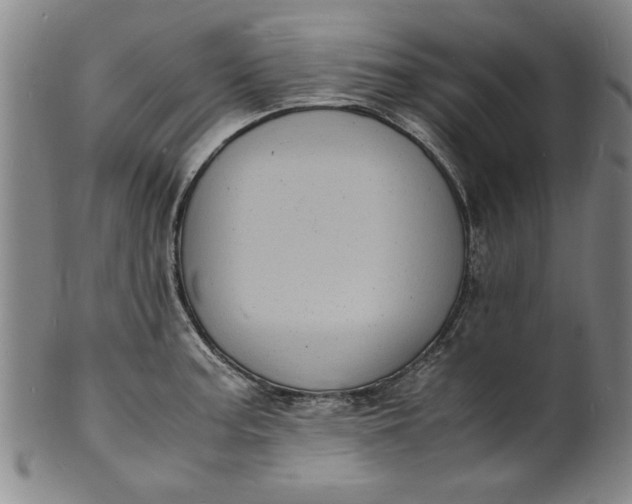 X0000101481187200807211352