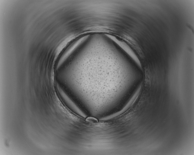 X0000101481188200807211352