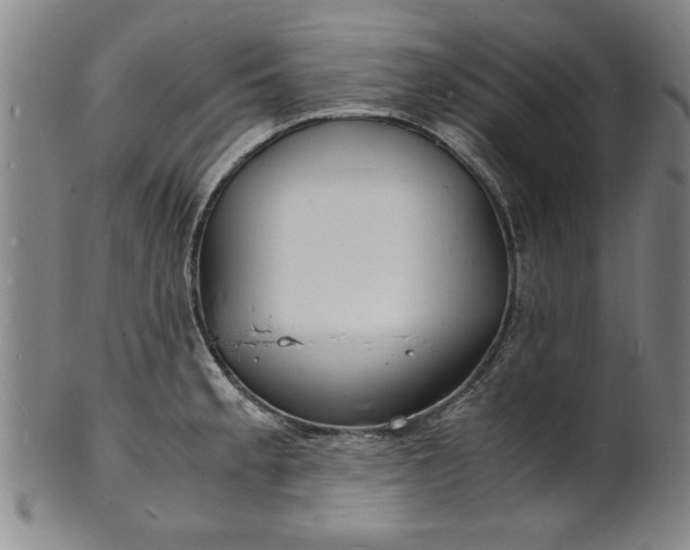 X0000101481189200807211352