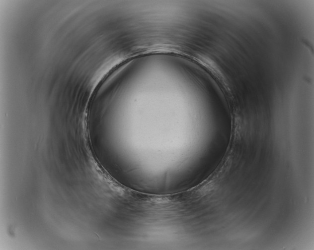 X0000101481190200807211352