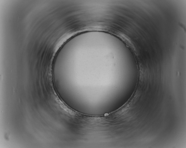 X0000101481192200807211352