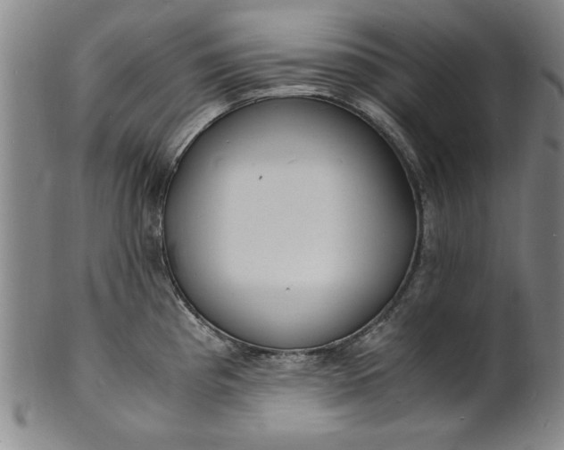 X0000101481193200807211352