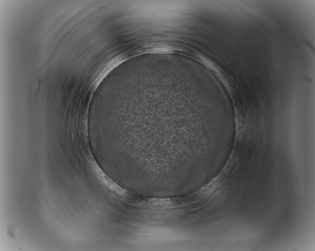 X0000101481194200807211352